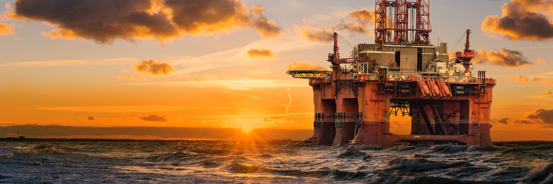 Unfazed By Harsh Environments